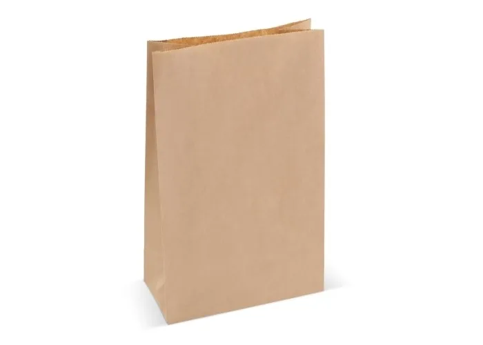 Papieren zak 70g/m² 29x18x9cm