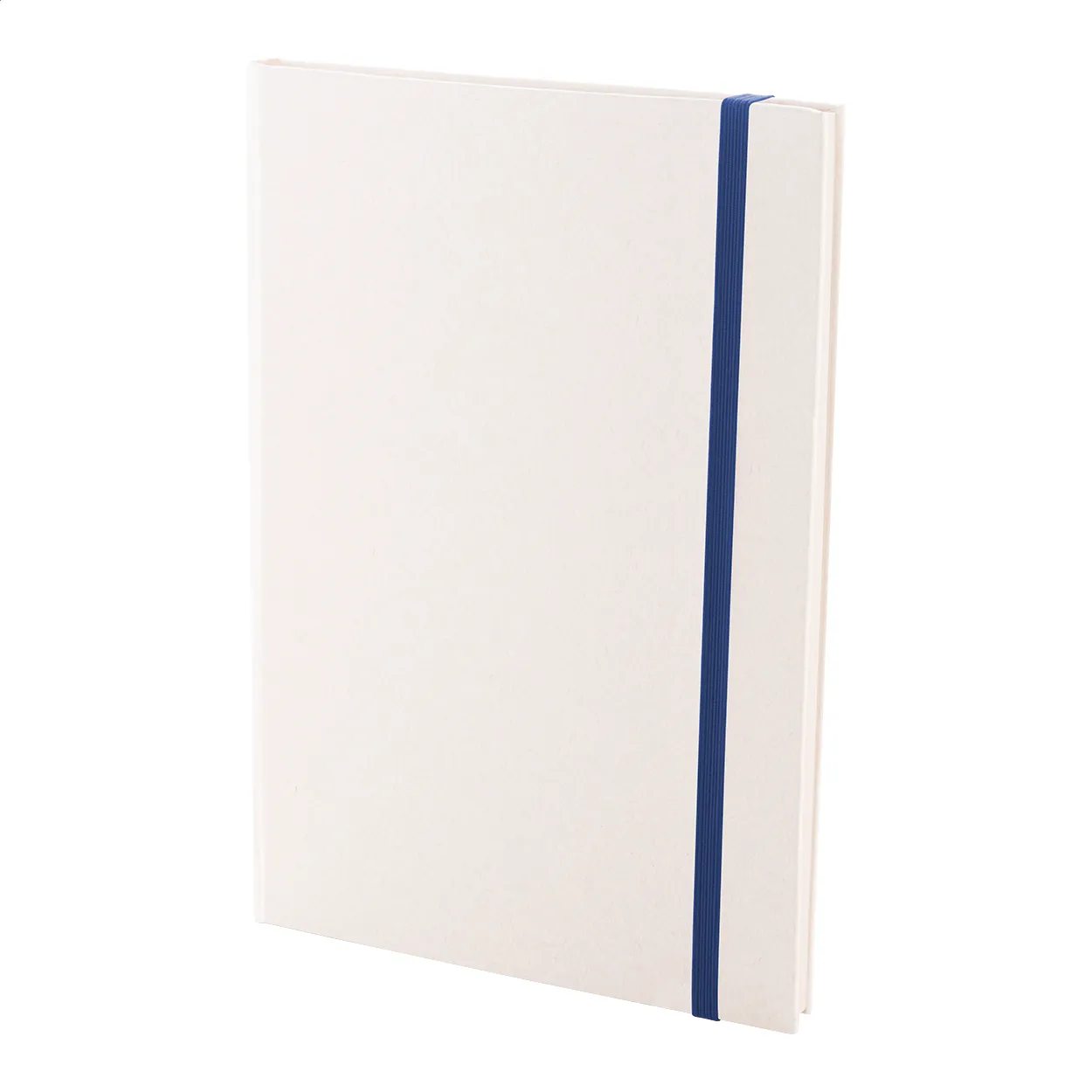Relact Note notitieboekje van melkpak blauw