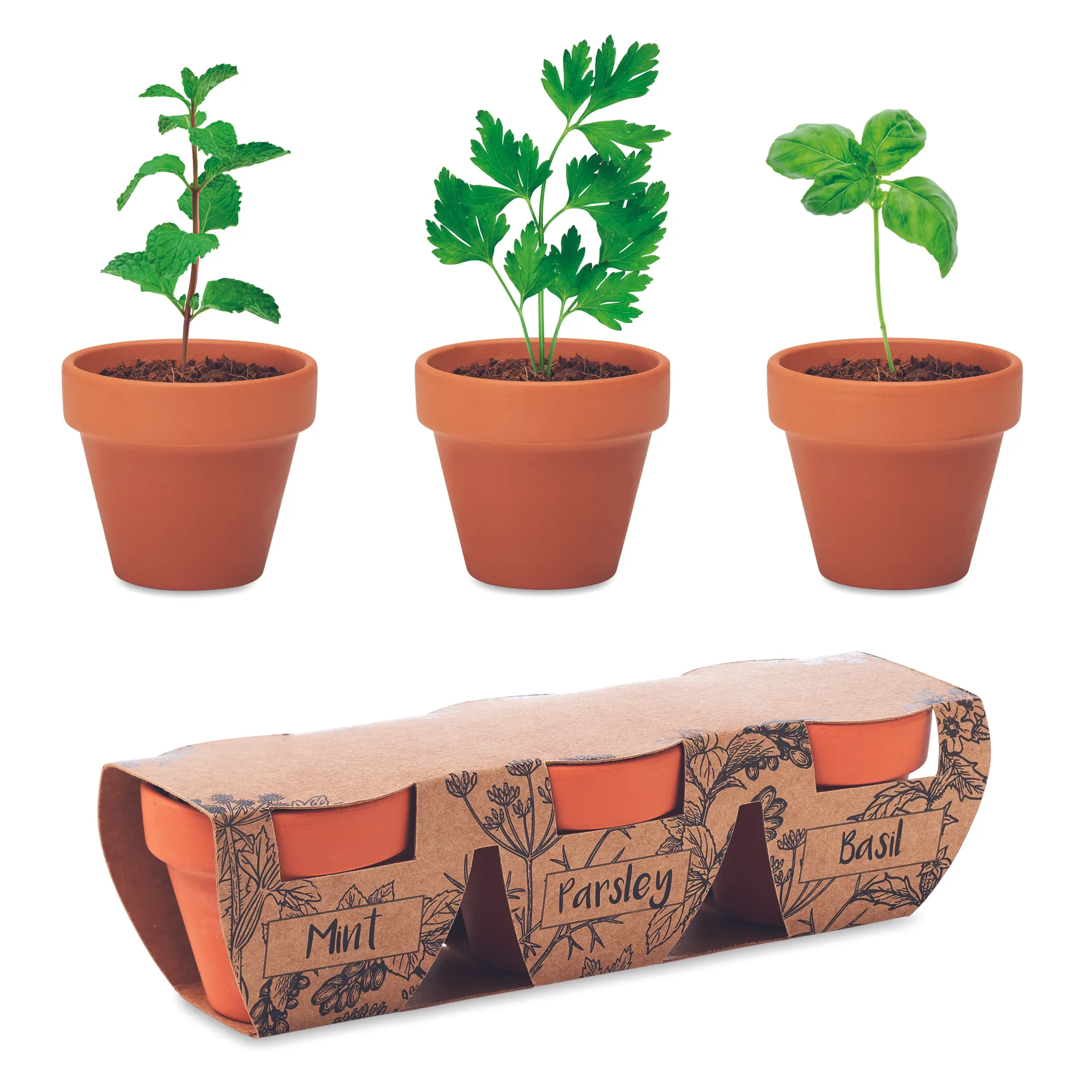Kruidenpotjes set van 3 Hout