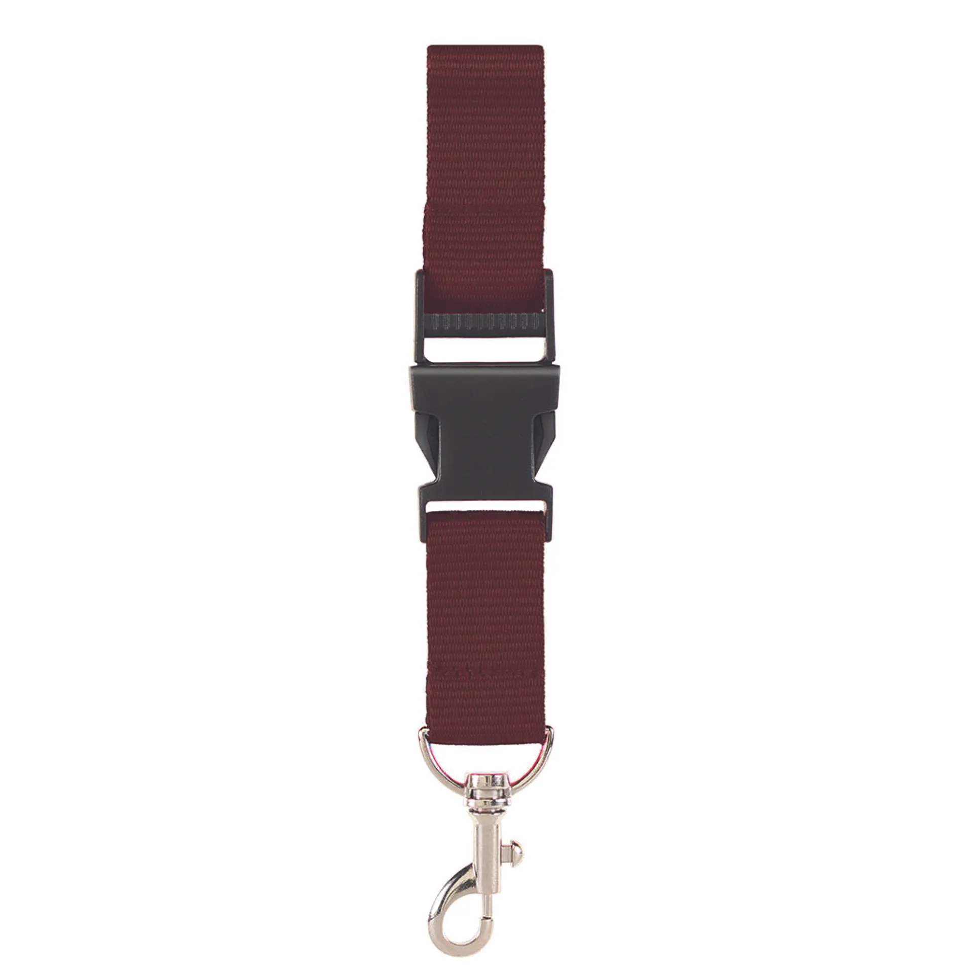 Lanyard
