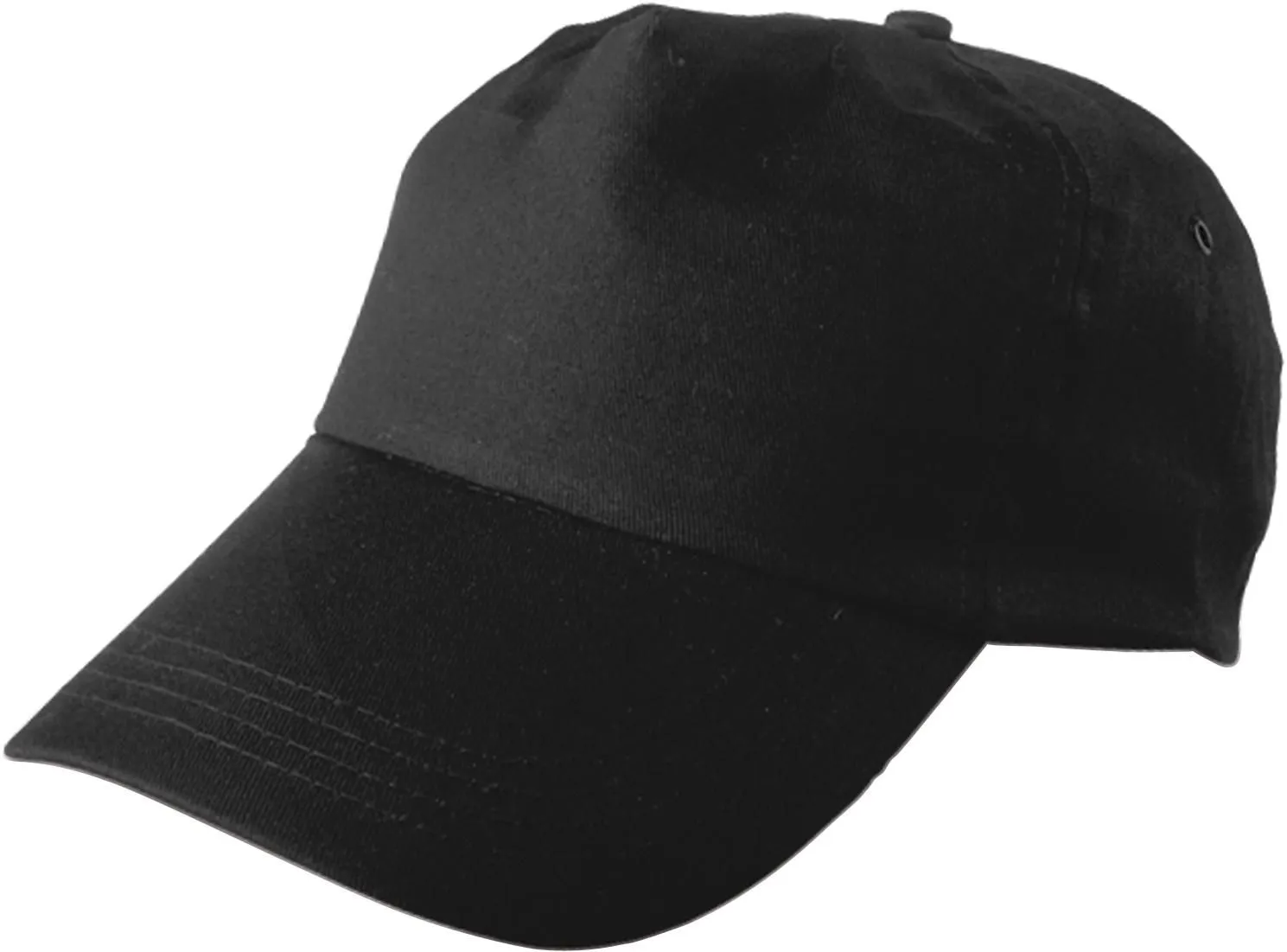 Pet Lisa | Katoenen twill | 5 panels zwart
