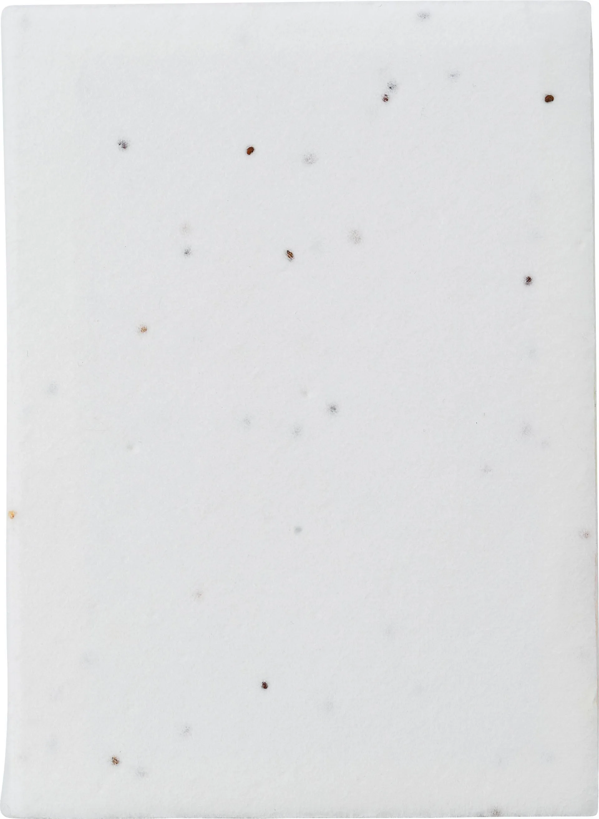 Papieren plaknotities zaadpapier Patricia wit