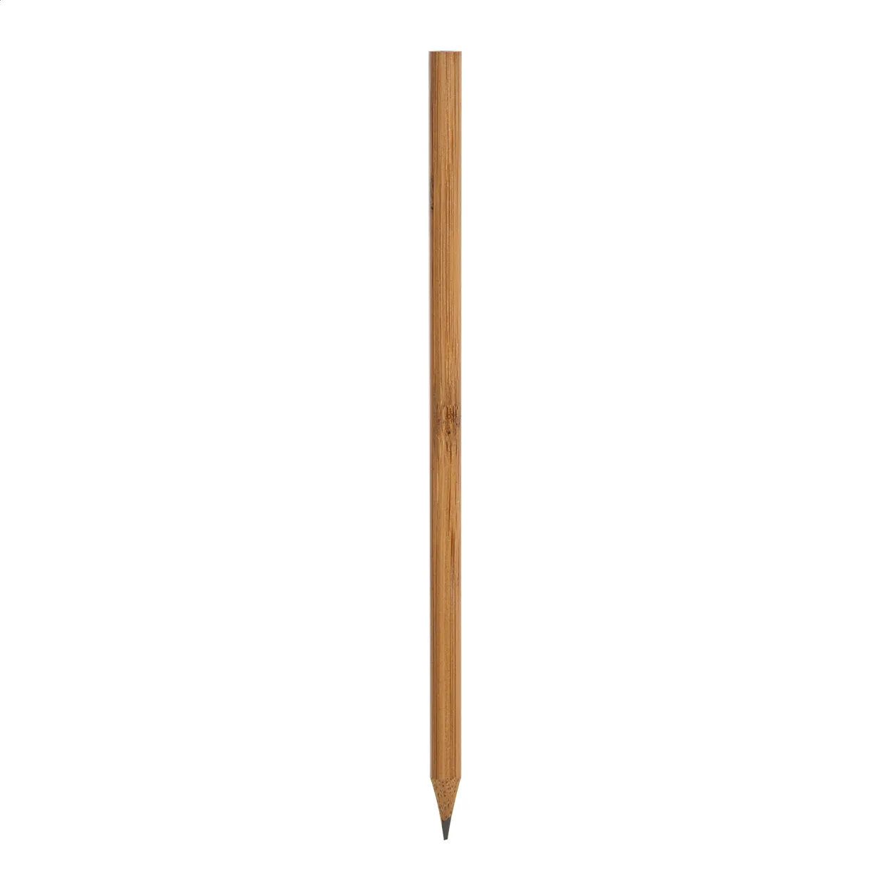 Houten potlood met geslepen punt op witte achtergrond