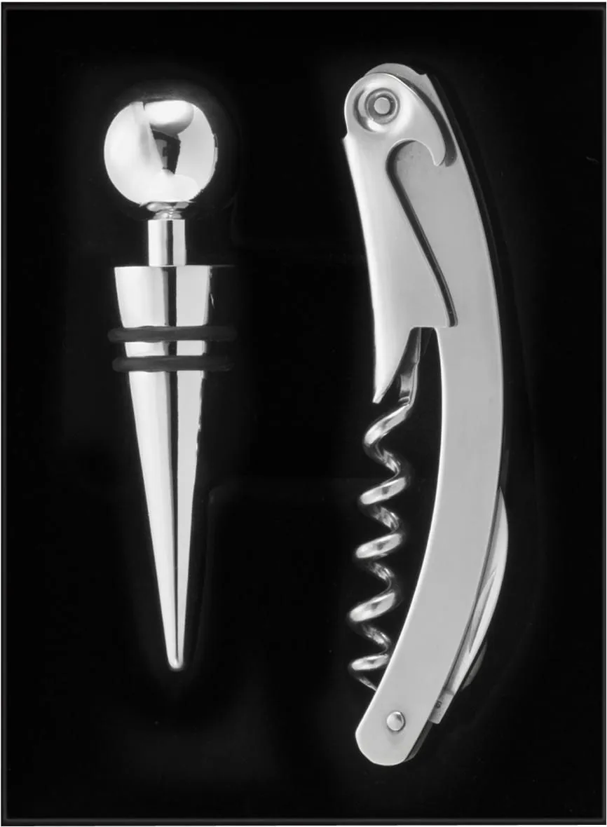 RVS wijn cadeauset Eve zilver