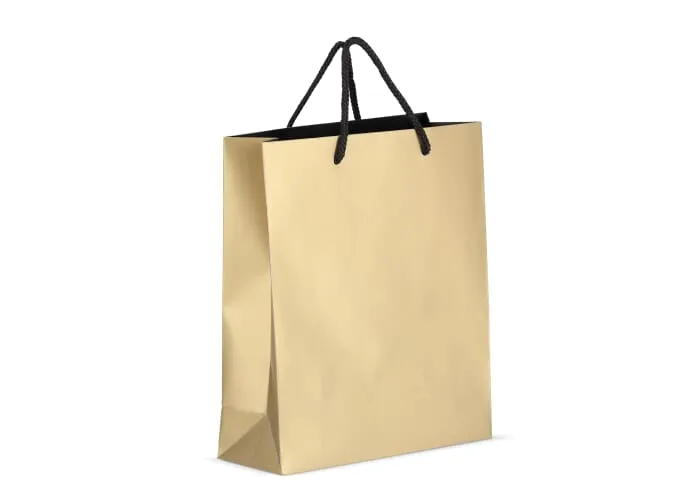 Papieren cadeautas 24 x 10 x 30cm 200g/m² Goud