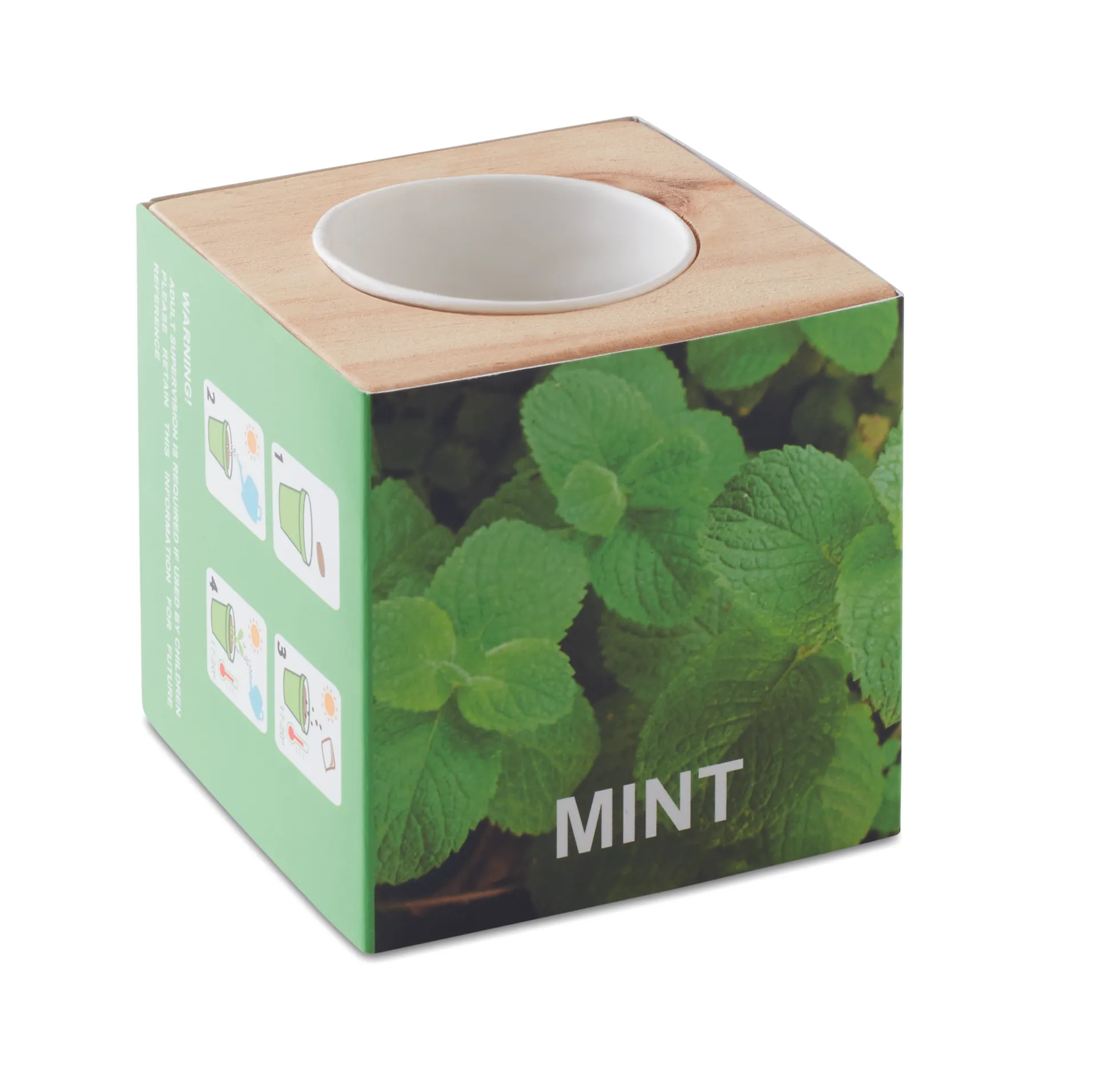 Kweekset, munt in houten pot Hout