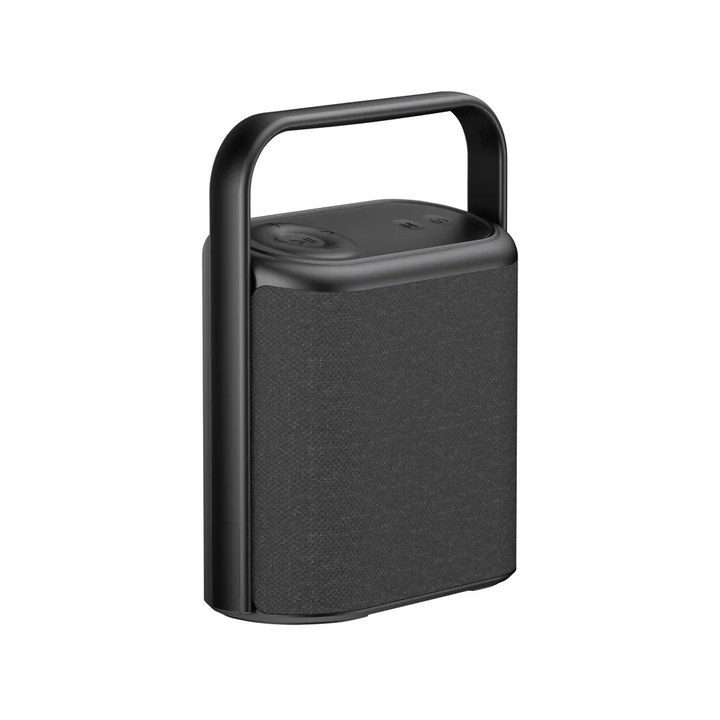 Urban Vitamin Newark RCS 10W speaker vervangbare batterij zwart