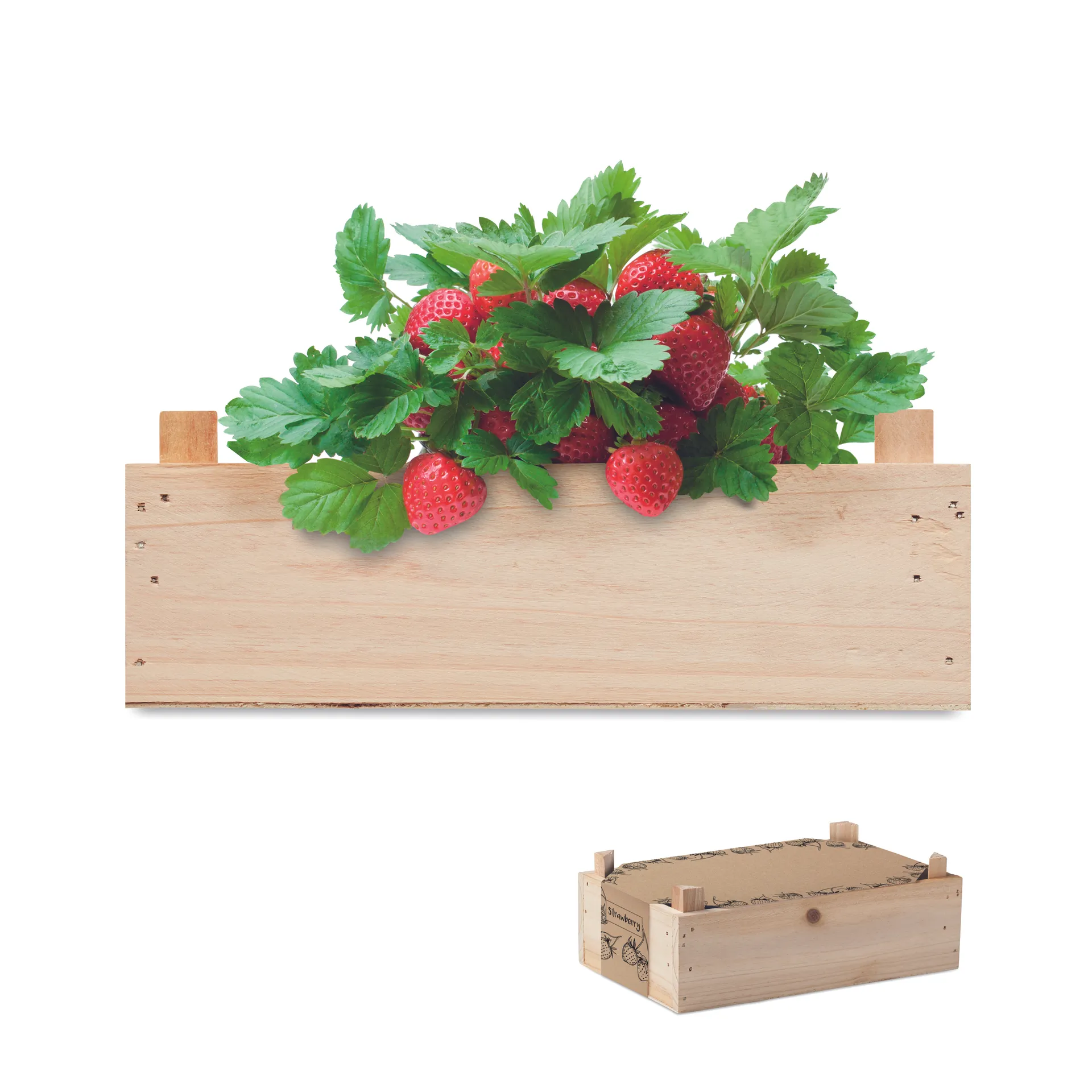 Aardbeienpakket in houten krat Hout